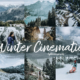 LR Lightroom Preset Winter Cinematic